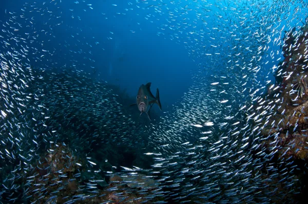 Cuba – Cayo Largo