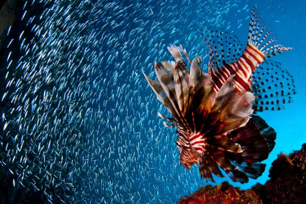 Cuba – Cayo Largo