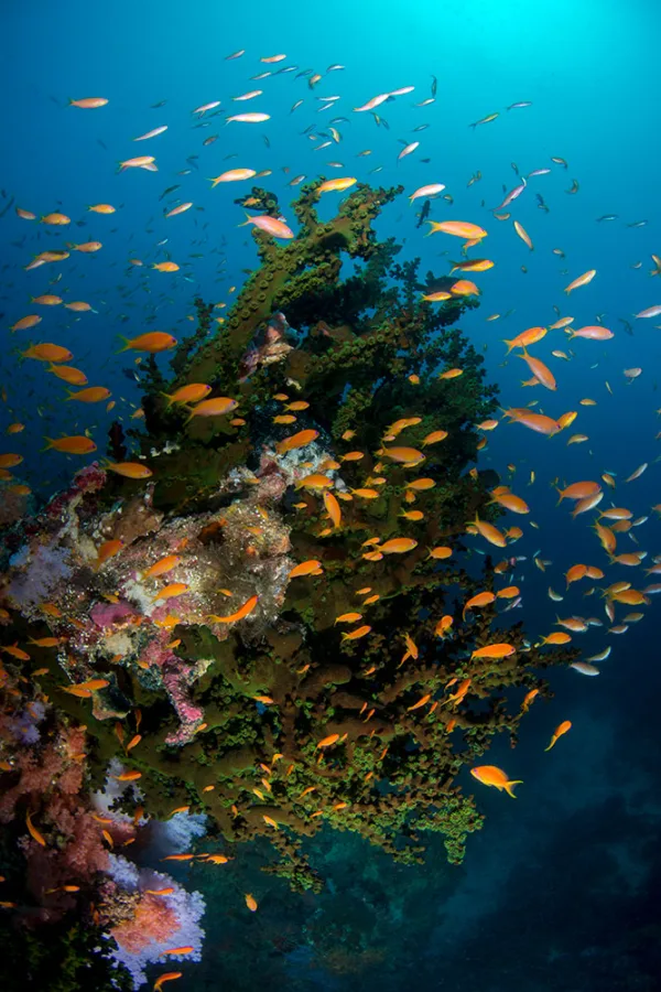 Maldives